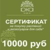 Подарочный сертификат, 10000