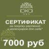 Подарочный сертификат, 7000