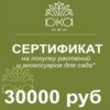 Подарочный сертификат, 30000