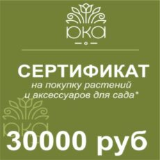 Подарочный сертификат, 30000