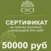 Подарочный сертификат, 50000
