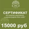 Подарочный сертификат, 15000