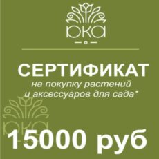 Подарочный сертификат, 15000