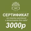 Подарочный сертификат, 3000