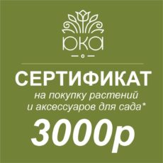 Подарочный сертификат, 3000