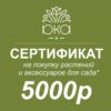 Подарочный сертификат, 5000