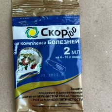 Скор